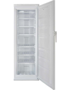 Upright Freezer Nexus 286 Litres Nexus-Electromenager | I3C Group