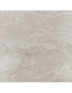 CARREAUX DE SOL ATLAS 60 X 60 2