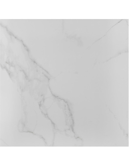 Floor Tiles CARRARA 60X60 | I3C Group