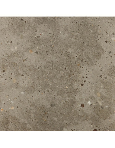 Floor Tiles AVENUE 50X50 | I3C Group