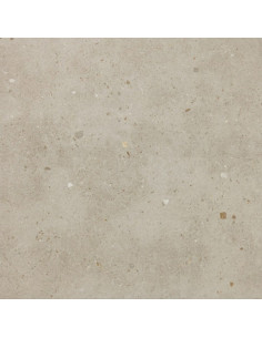 Floor Tiles AVENUE GRANIT 50X50 | I3C Group