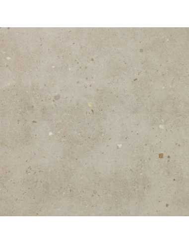 Floor Tiles AVENUE GRANIT 50X50 | I3C Group