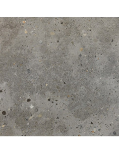 GRANIT GRIS CLAIR REF: GDG50710 2