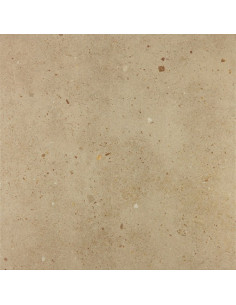 Floor Tiles VERSAIL 50X50 | I3C Group 2