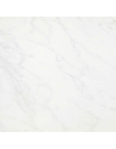 Floor Tiles CARRARA 40X40 | I3C Group