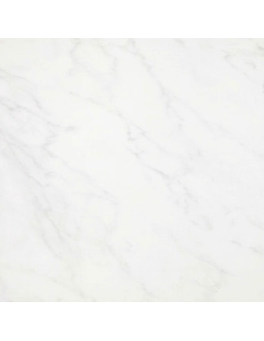 Floor Tiles CARRARA 40X40 | I3C Group