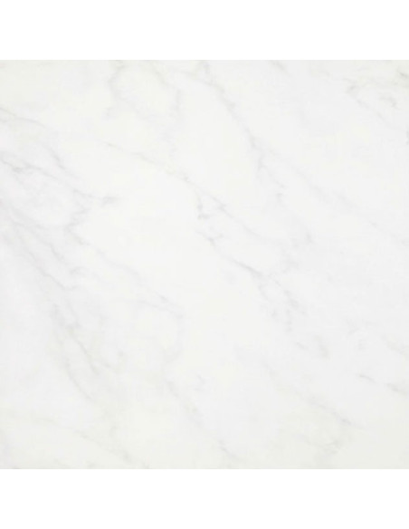 Floor Tiles CARRARA 40X40 | I3C Group