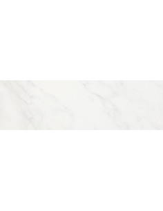Floor Tiles CARRARA 40X40 | I3C Group 2