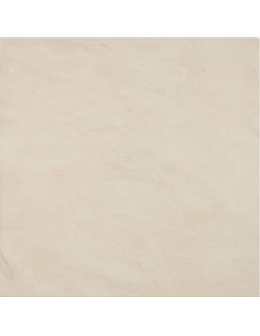 Floor Tiles Soluble Salt 40X40 | I3C Group