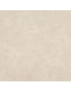 Floor Tiles Soluble Salt 40X40 | I3C Group 2