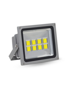 Floodlight 100W 220-240V AC CoB | I3C Group