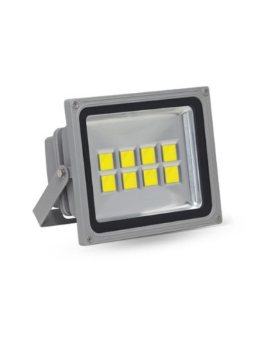 Projecteur 100W 220-240V AC CoB | I3C Group