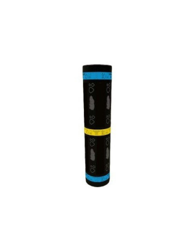 CHAPALU P2MM | I3C Group