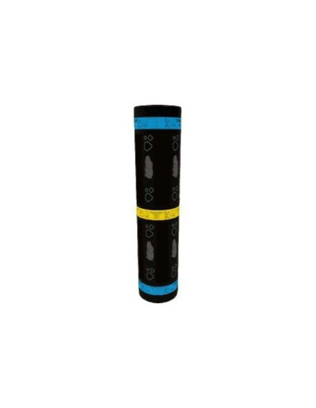 CHAPALU P2MM | I3C Group