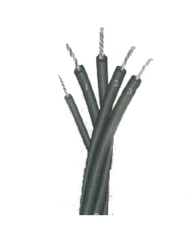 Network Twisted Cable | I3C Group