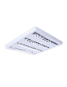 PROLUX LED | I3C Group