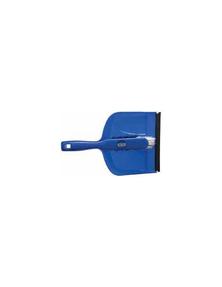 Plastic Dustpan and Brush | I3C Group